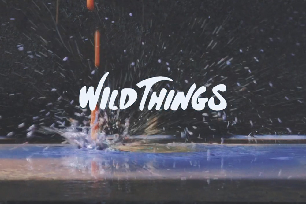 WILDTHINGS iiii MOVIE