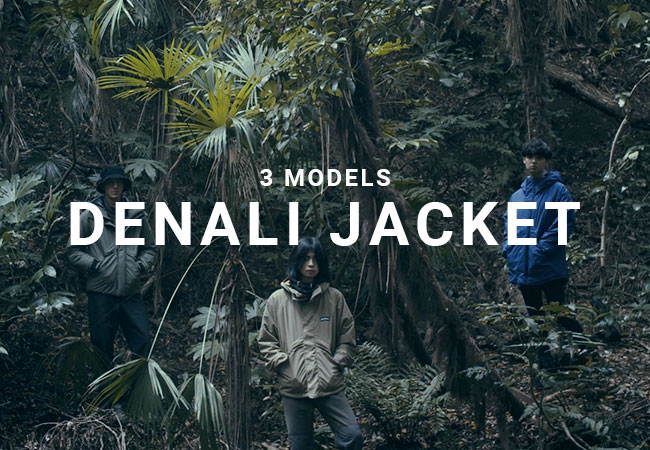 DENALI JACKET見出し画像